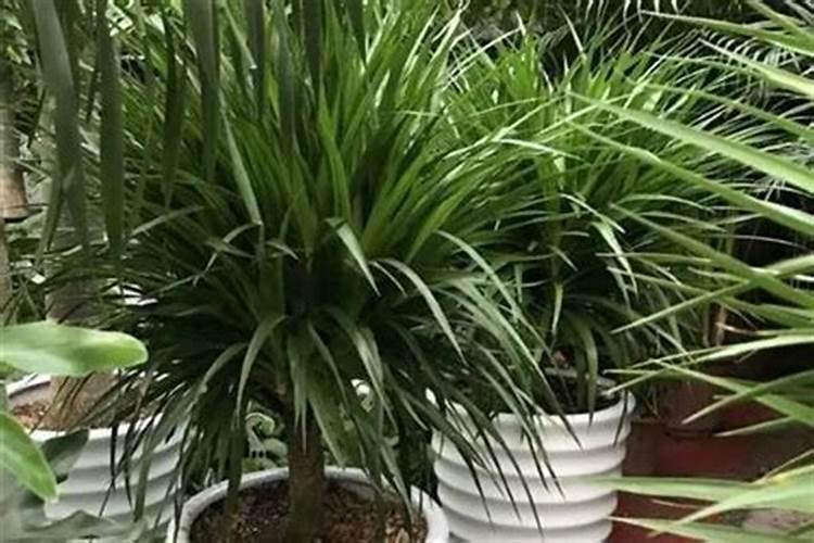 海水可以喝吗？