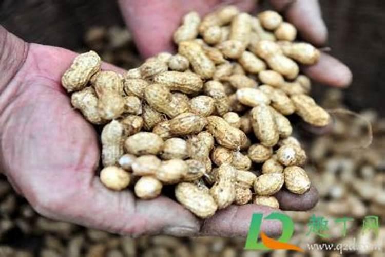 自制有机肥快速发酵方法