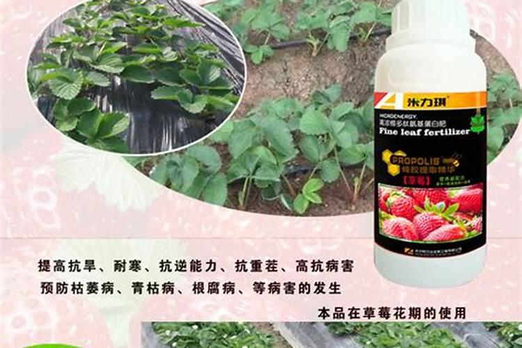 什么肥含有酸性