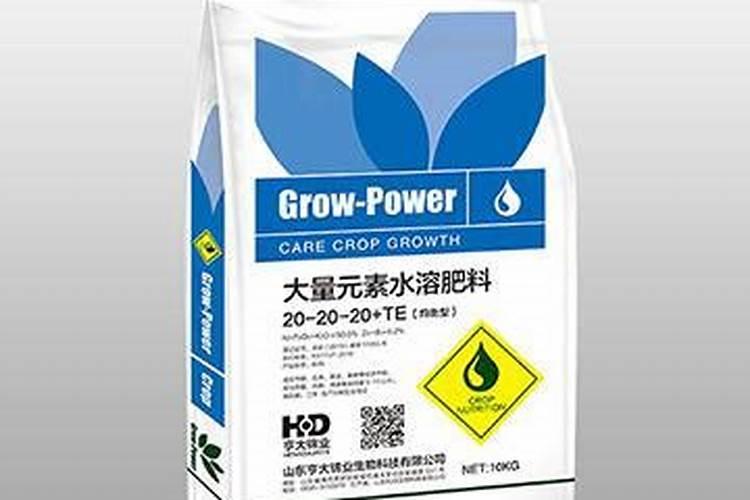 大蒜酵素配方做法大全