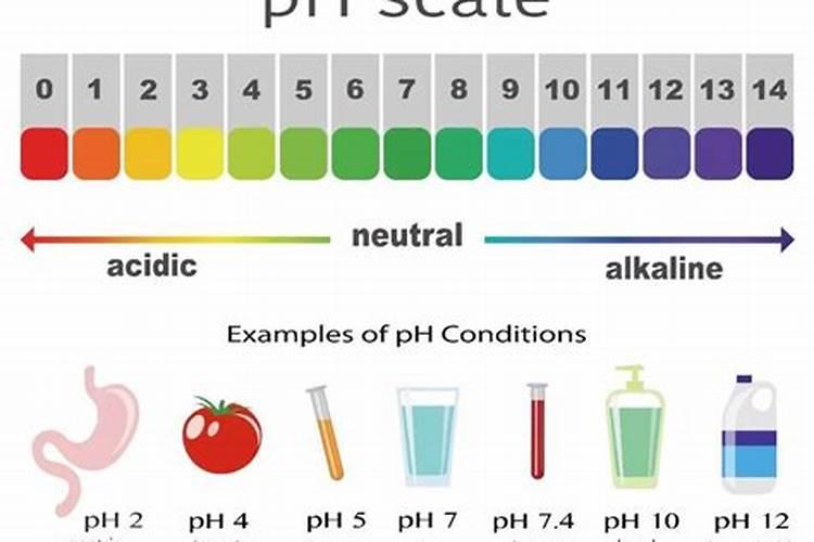 有机肥料是指什么肥料 使用有机肥料的好处有哪些