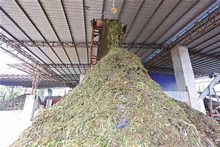 怎么用树叶发酵肥料