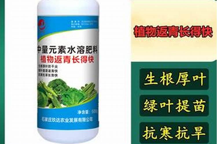 甜瓜追肥用什么肥料好,合理的追肥量是多少