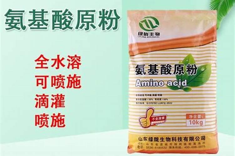 三年蓝莓苗移栽后多长时间能施肥