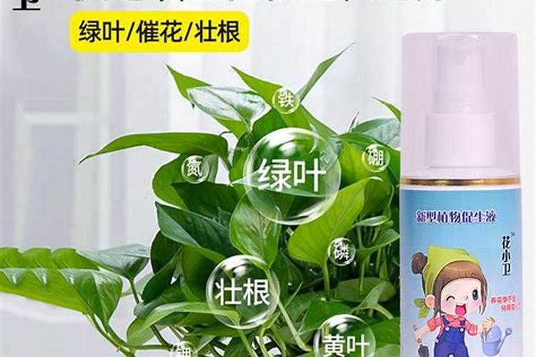 高磷肥料对植物的作用