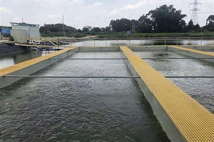 鱼的饲养养殖方法