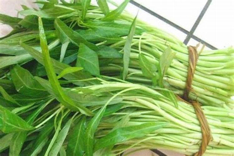 菜叶发黄是缺什么肥？