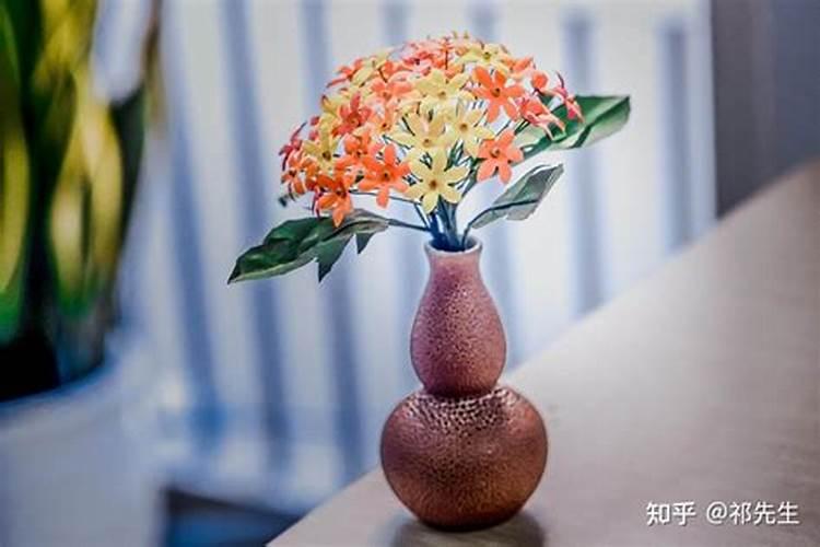 硅肥什么牌子最好