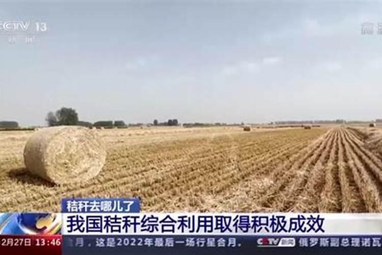 芹菜能冲高钾水溶肥吗？芹菜高产种植技巧