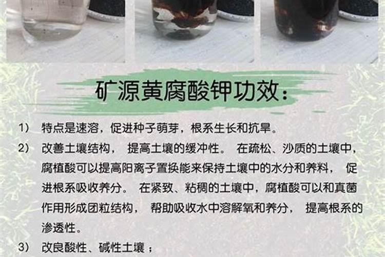 石榴含钾高吗 可上溯至汉代