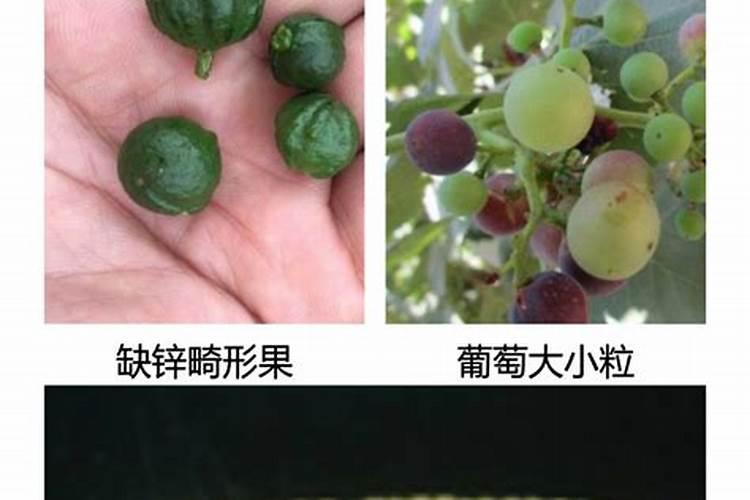 全国最好的硅肥厂家,大家来谈谈有哪些？