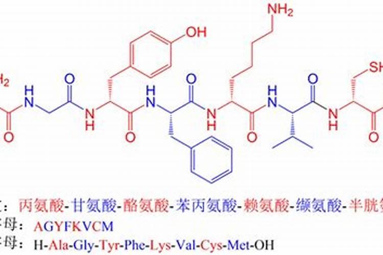 什么是多肽尿素？多肽尿素如何使用？