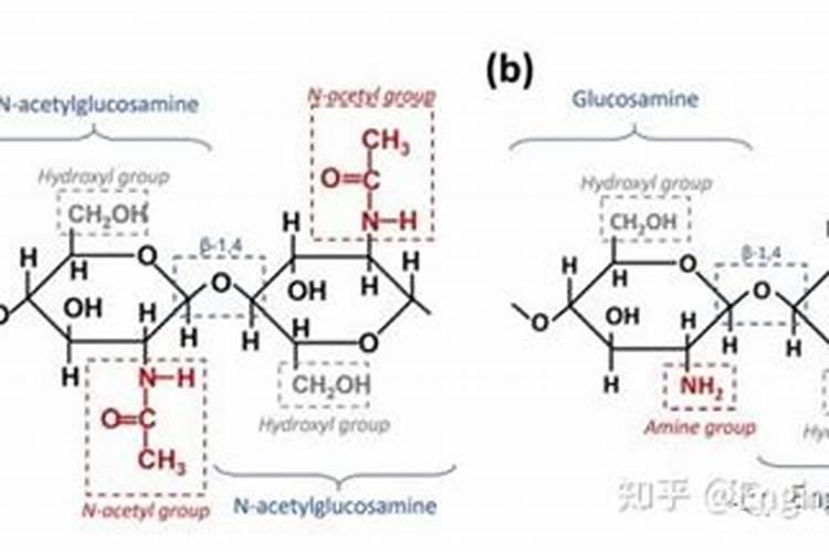 鱼蛋白氨基酸水溶肥的功效