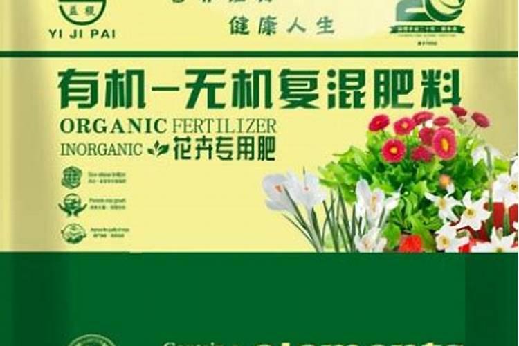 草莓初花期冲什么肥