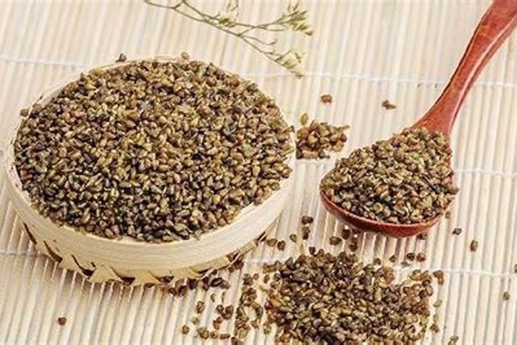 为什么豆类植物不需要施氮肥