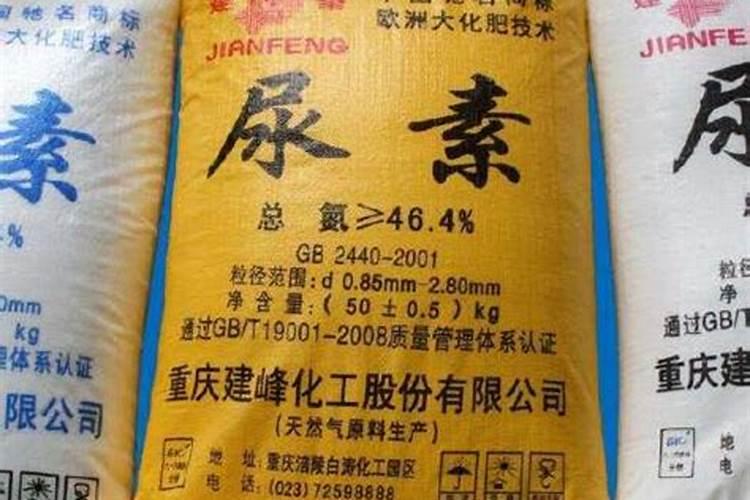 含磷钾低的食物有哪些