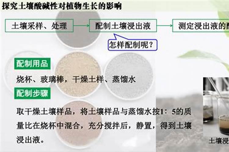 第一年葡萄小苗施什么肥(刚种葡萄苗用什么肥料长得快)