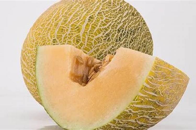 脐橙采果后喷什么叶面肥好