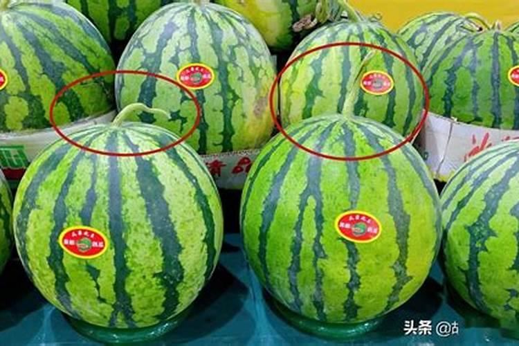 西瓜施什么肥料最甜