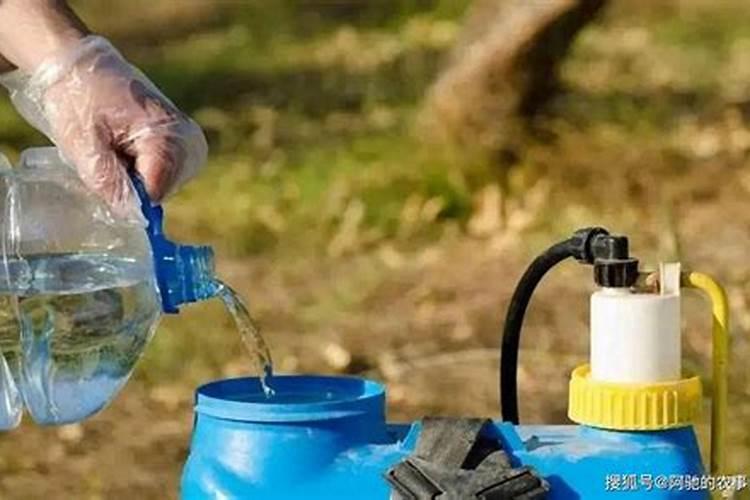 柚子树施水溶肥有什么规律？柚子各个时期施水溶肥方法