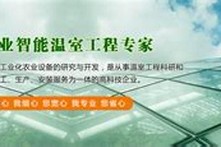 种莲花白菜用什么底肥好