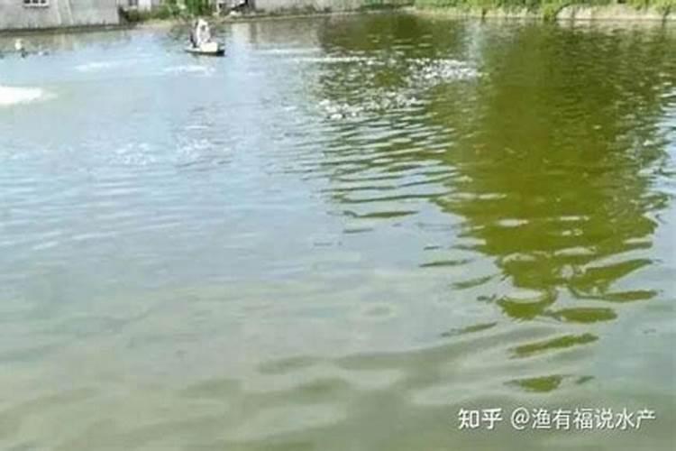 水溶肥的好坏如何辨别呢？