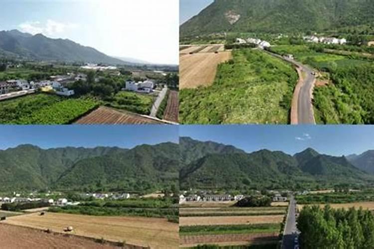 木薯的淀粉含量是多少,？