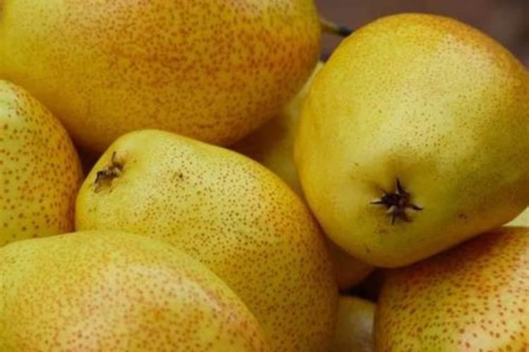 使用水稻吨田宝的基本知识有哪些？