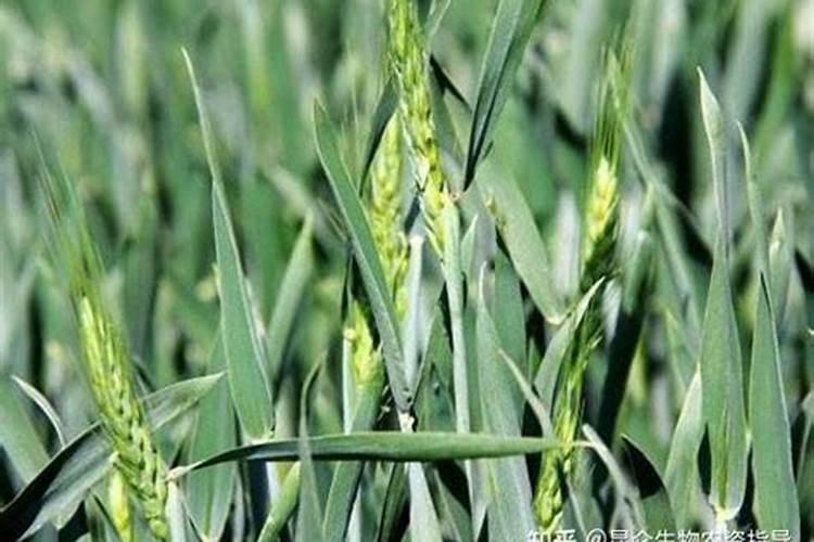 锰锌铁氧体参数