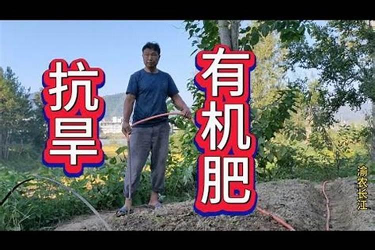磷相对原子质量取多少
