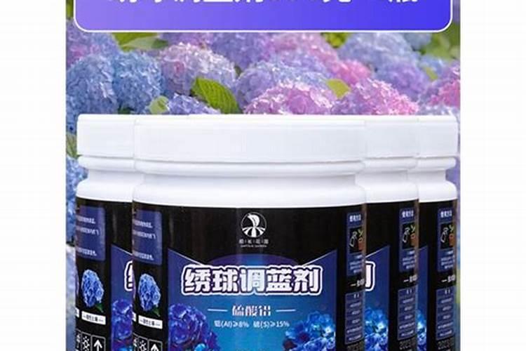 绣球花叶子黑斑怎么办