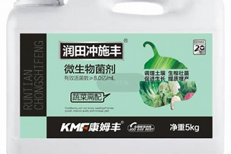 想要让西瓜苗长得又快又好,都有哪些小技巧呢？