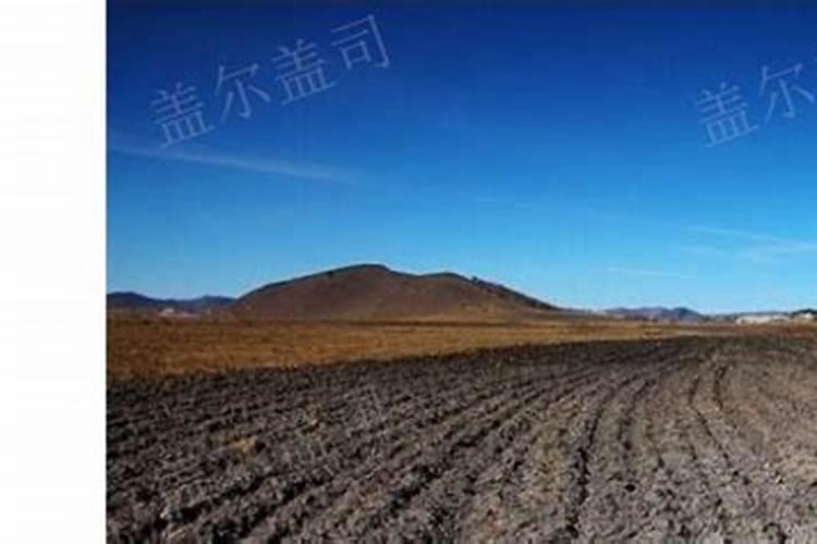 松土剂真的可以松土吗？