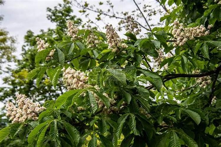 本人想开一家洗衣店,大家能不能传授些经验