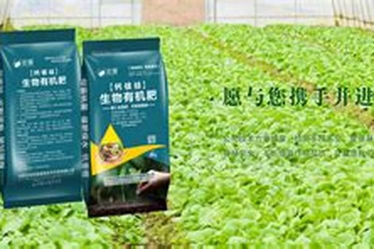 芸苔素隔多久能打二次