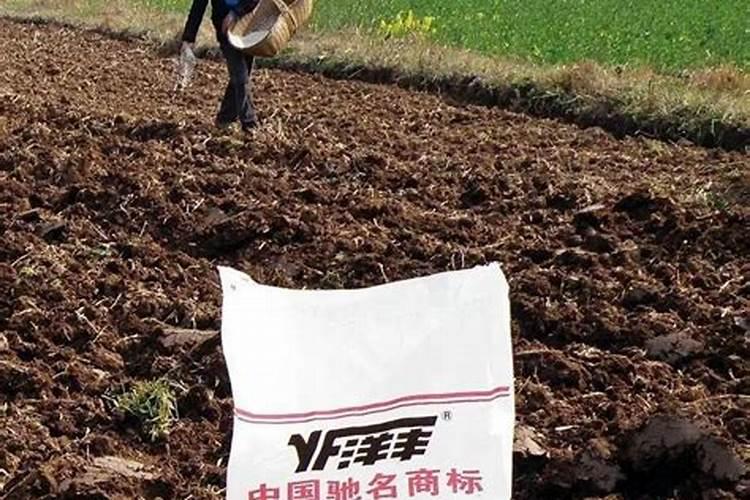 如何鉴别肥料真假？