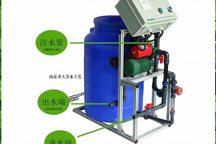 刚移栽的草莓可以天天浇水吗