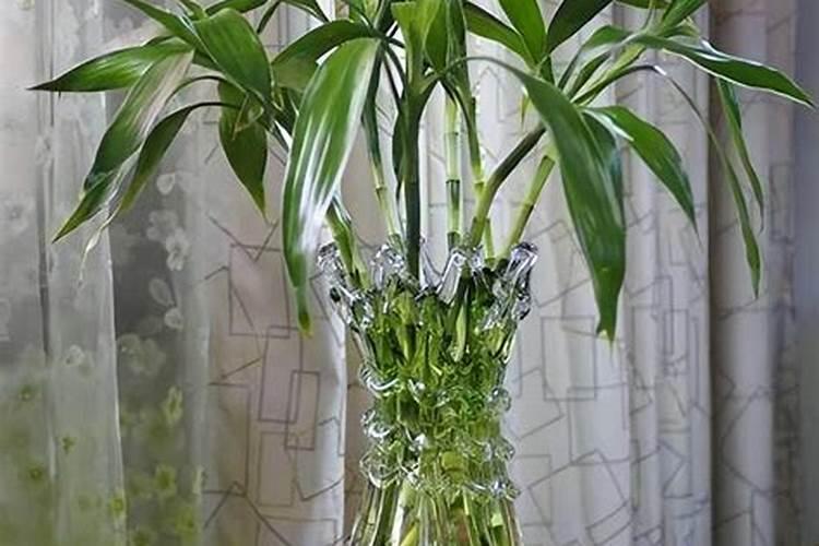 红薯使用磷酸二氢钾控旺是多少倍