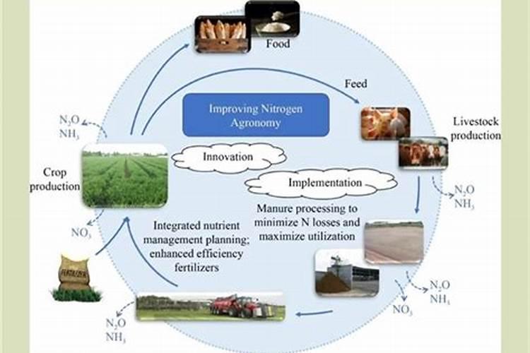 [提高氮肥有效利用率七法]提高氮肥利用率的意义