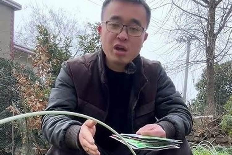 种土豆用什么肥料