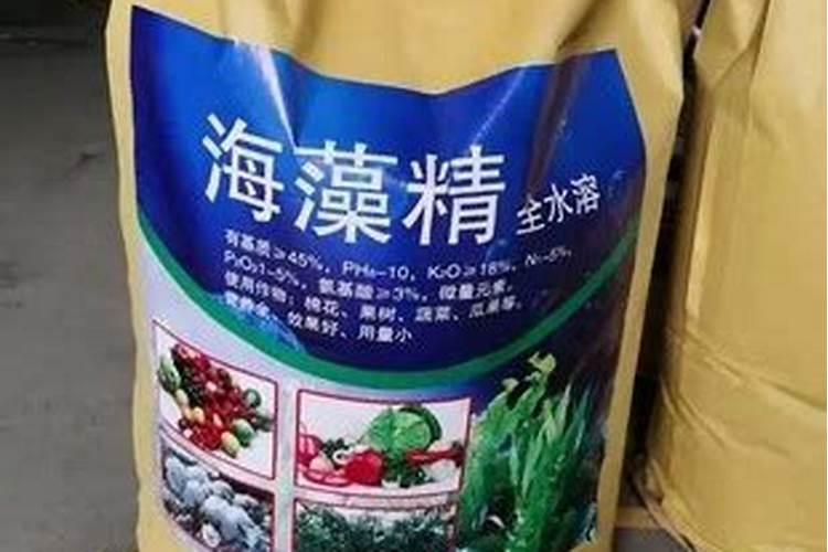 养花的酸性肥料有哪些;给花施肥用什么肥料