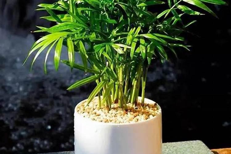 硝氮磷复合肥可以用在葡萄花前吗？