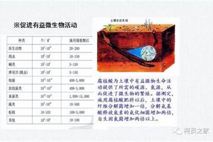 复合肥怎么兑水浇花