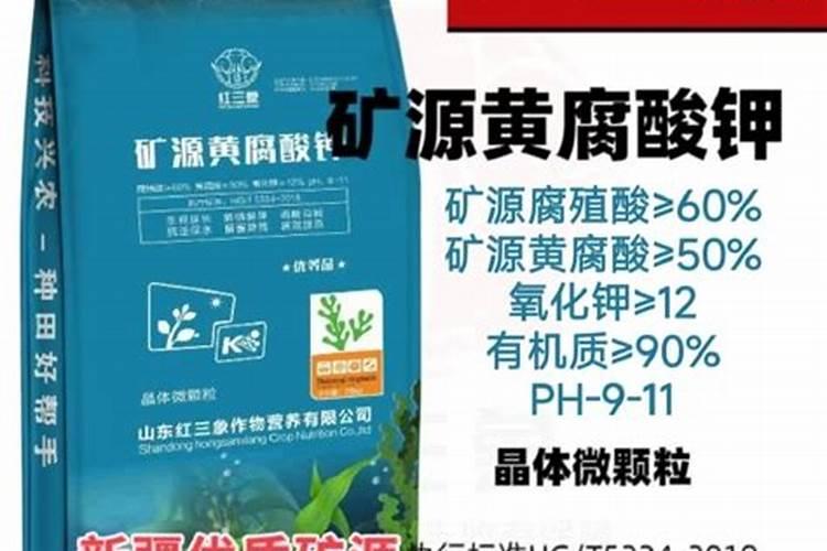 种菜一般都用什么肥料