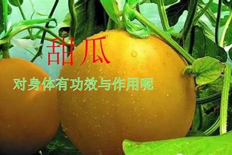 氮磷钾施肥过量,会有什么危害？