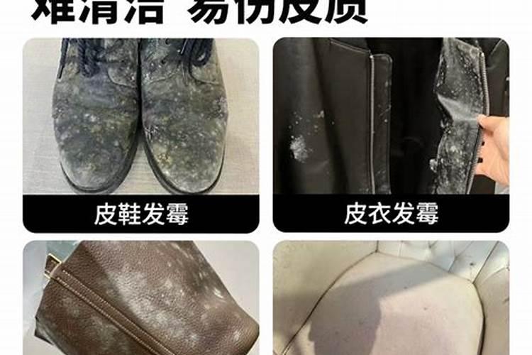 骨粉兑水浇花还是埋在土里好(怎么操作制作骨粉给花浇肥)