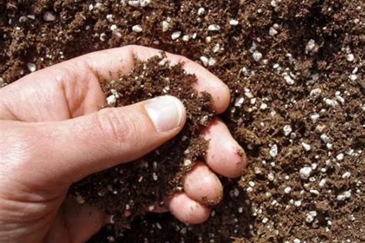 什么肥料能让土地松软