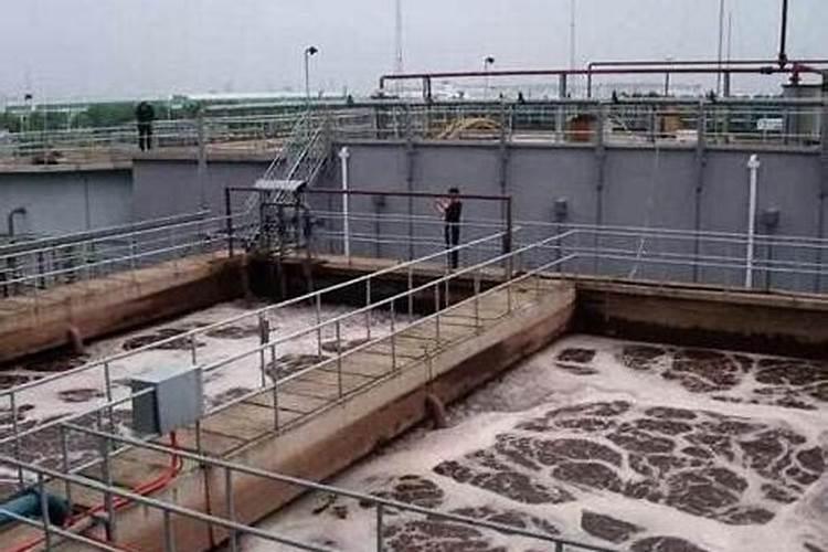 老师你好,移栽辣椒田,可以全田喷雾的除草剂用什么？