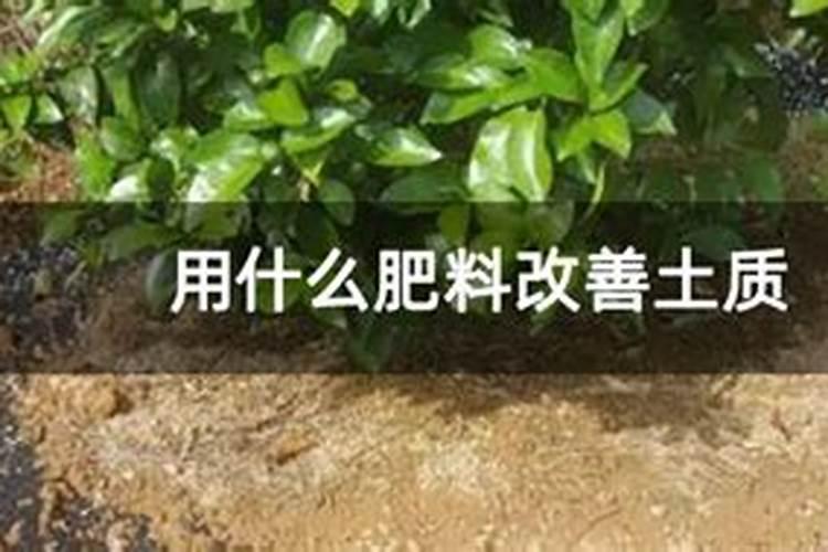 富硒肥料什么牌最好？
