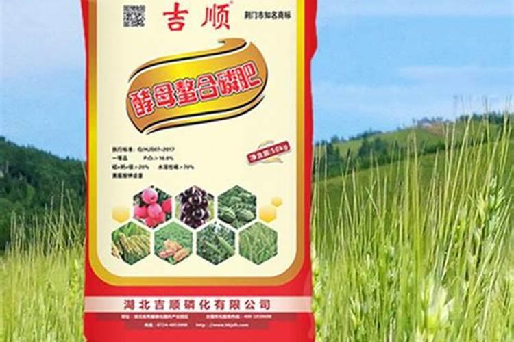 红薯的高产栽培技术